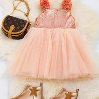 Coral Sequin Dress