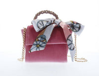 Velvet Purse With Scarf